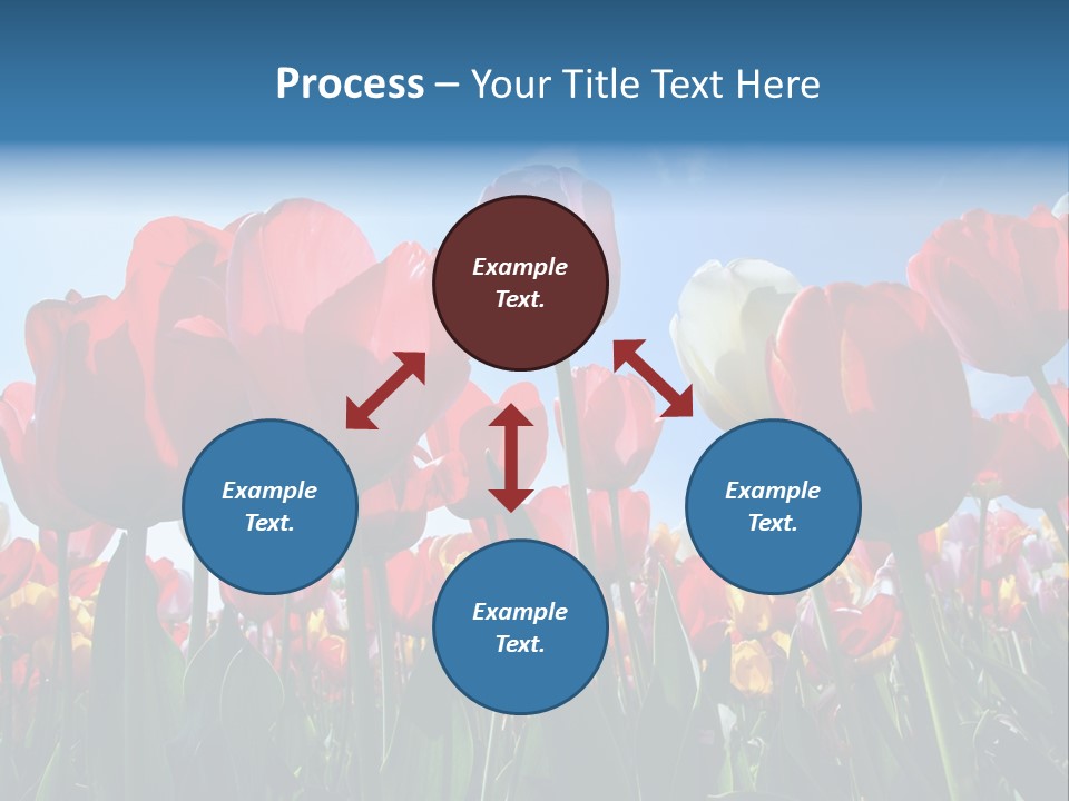 Beauty Of Nature Background Tulip PowerPoint Template