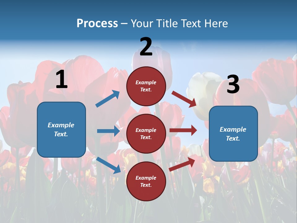 Beauty Of Nature Background Tulip PowerPoint Template