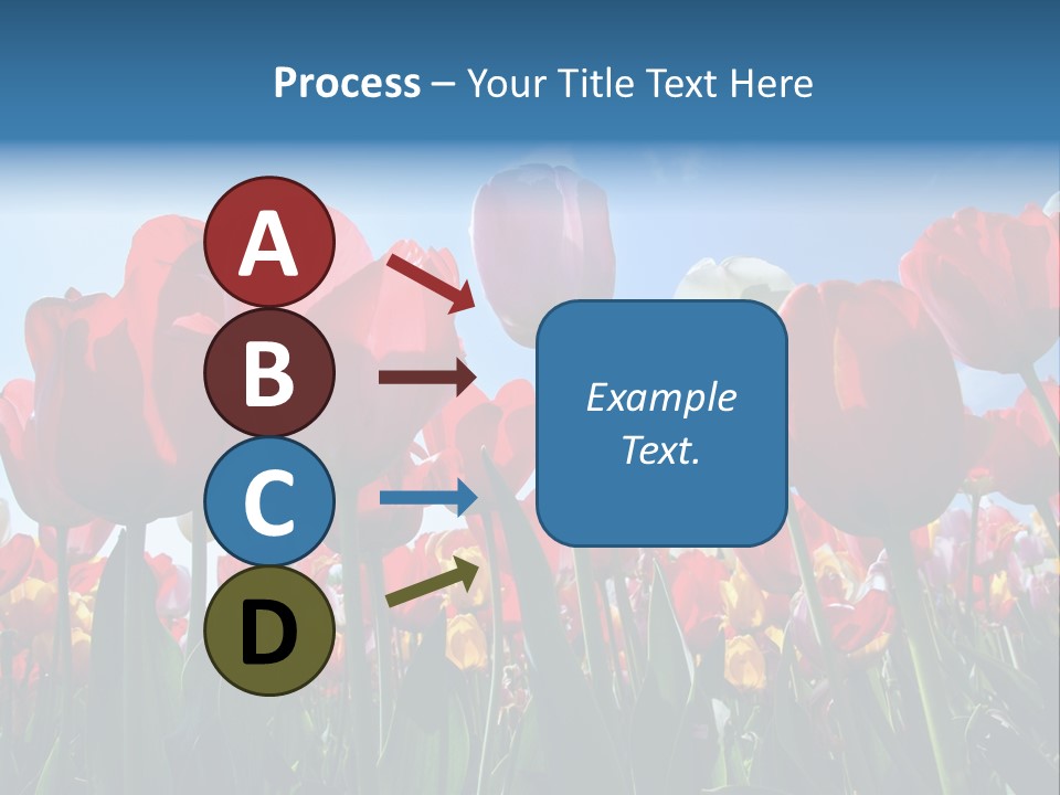 Beauty Of Nature Background Tulip PowerPoint Template