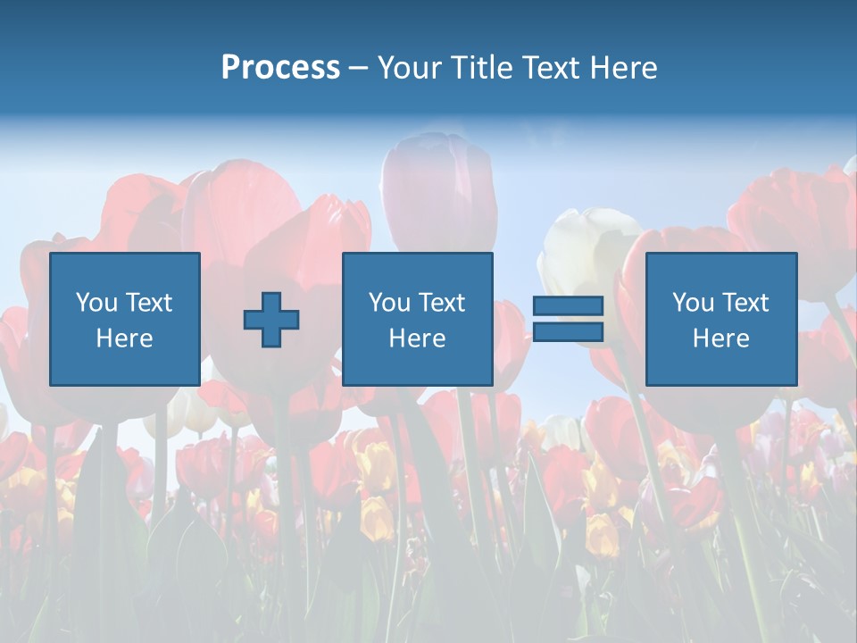 Beauty Of Nature Background Tulip PowerPoint Template