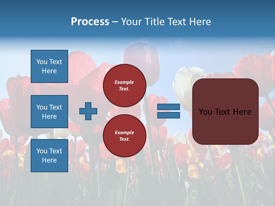 Beauty Of Nature Background Tulip PowerPoint Template