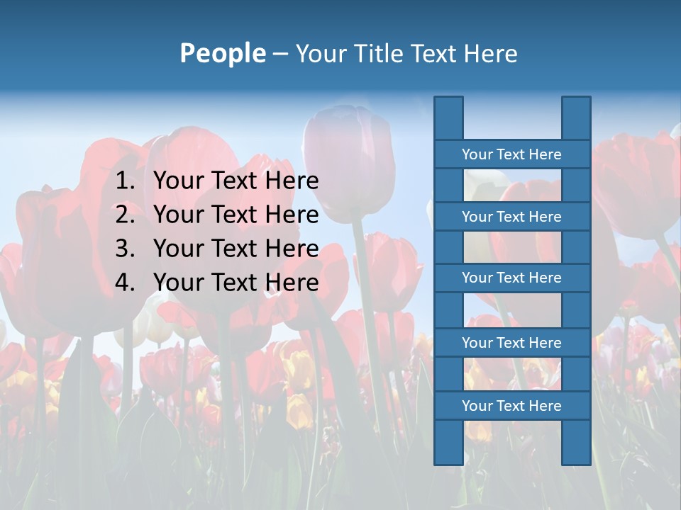 Beauty Of Nature Background Tulip PowerPoint Template