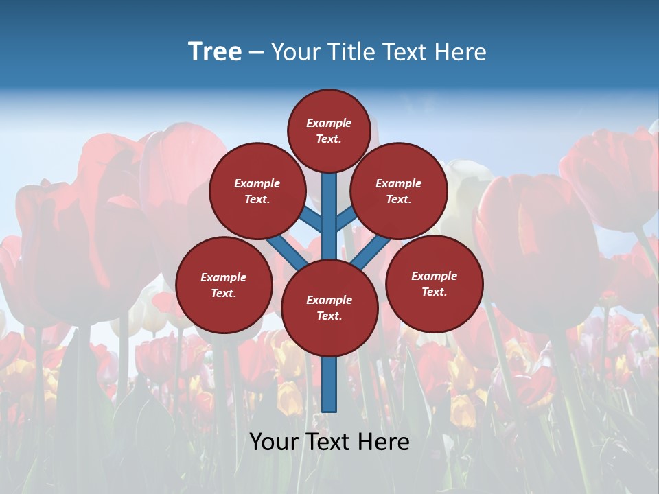 Beauty Of Nature Background Tulip PowerPoint Template