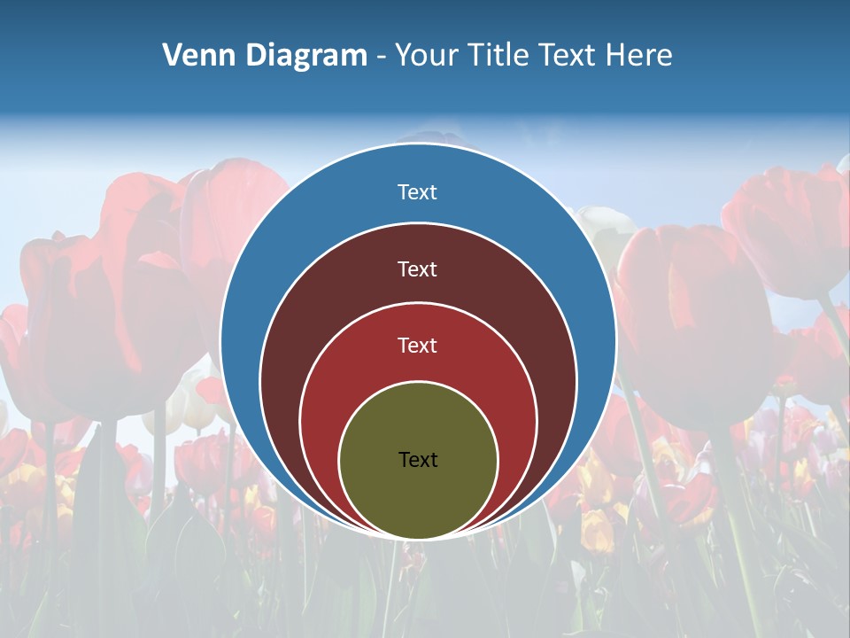 Beauty Of Nature Background Tulip PowerPoint Template