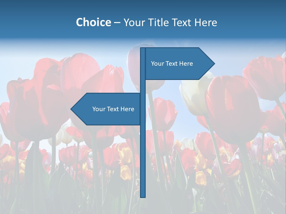 Beauty Of Nature Background Tulip PowerPoint Template