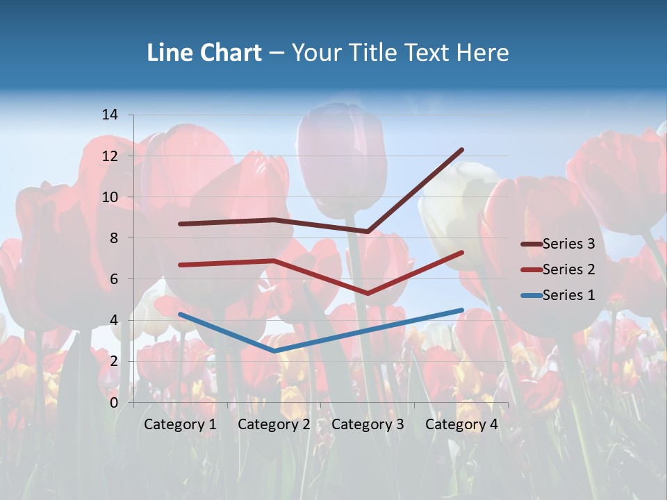 Beauty Of Nature Background Tulip PowerPoint Template