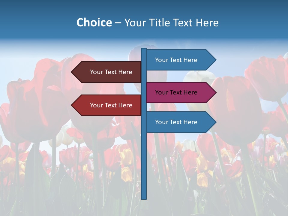 Beauty Of Nature Background Tulip PowerPoint Template