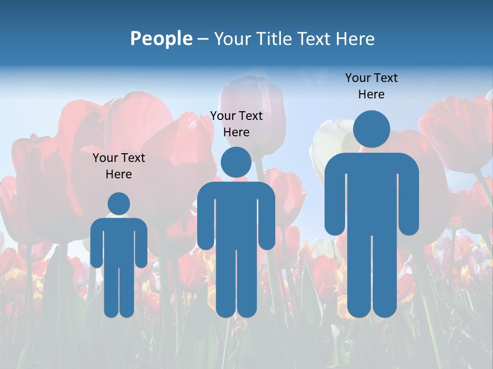 Beauty Of Nature Background Tulip PowerPoint Template