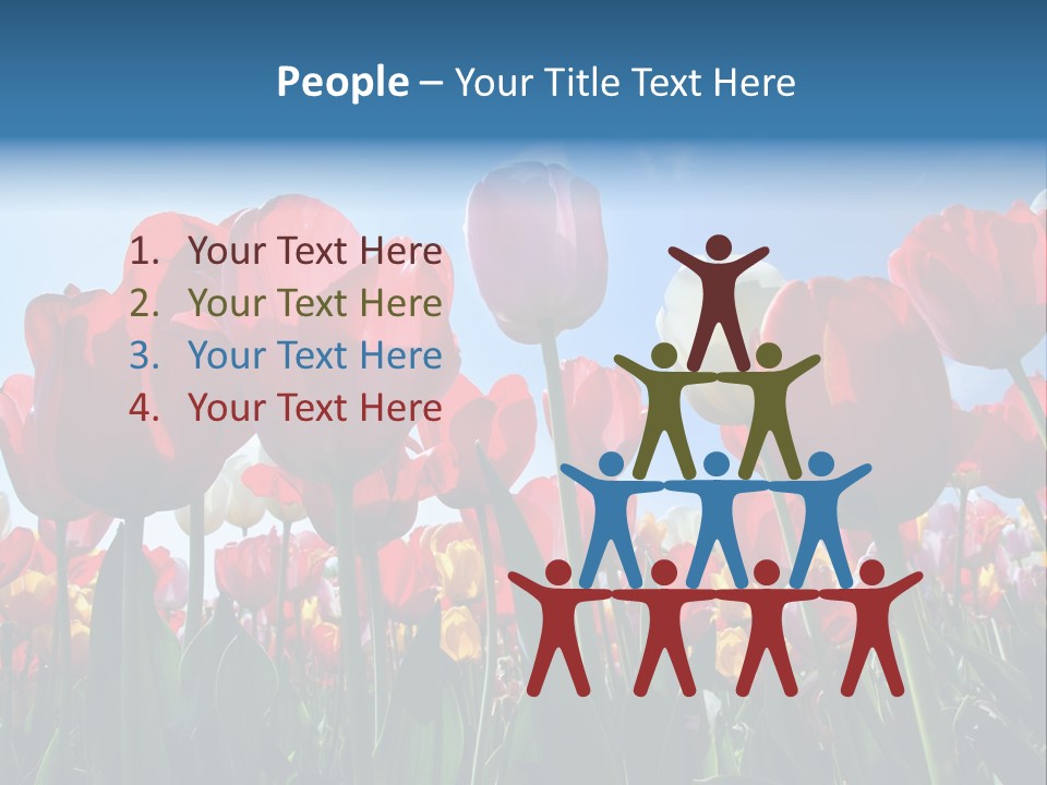 Beauty Of Nature Background Tulip PowerPoint Template