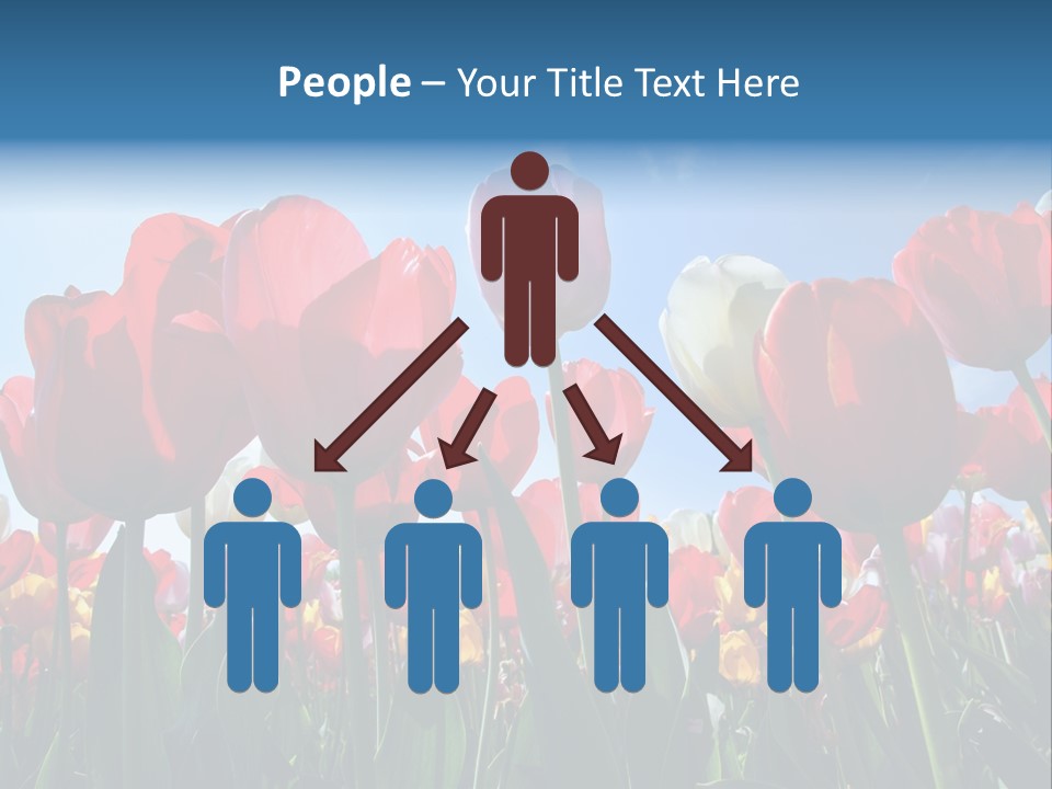 Beauty Of Nature Background Tulip PowerPoint Template