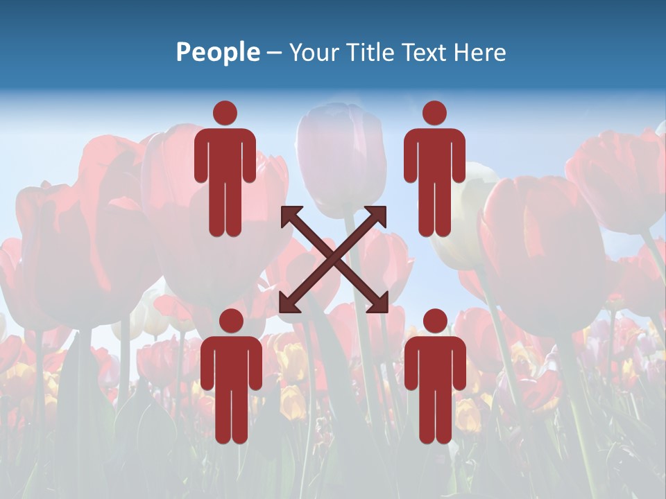 Beauty Of Nature Background Tulip PowerPoint Template