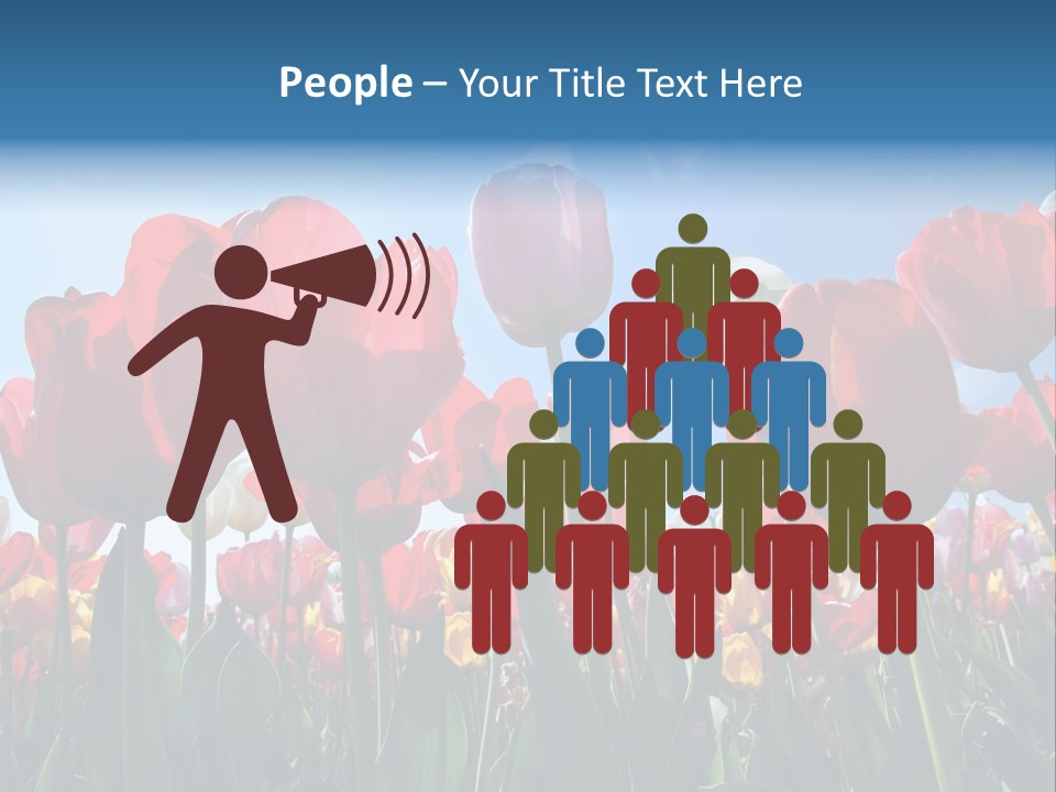 Beauty Of Nature Background Tulip PowerPoint Template