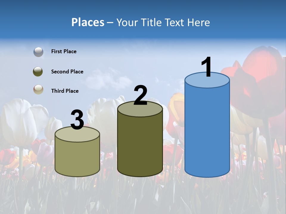 Tulip Yellow Multi Colored PowerPoint Template