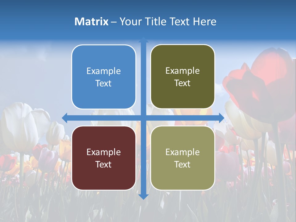 Tulip Yellow Multi Colored PowerPoint Template