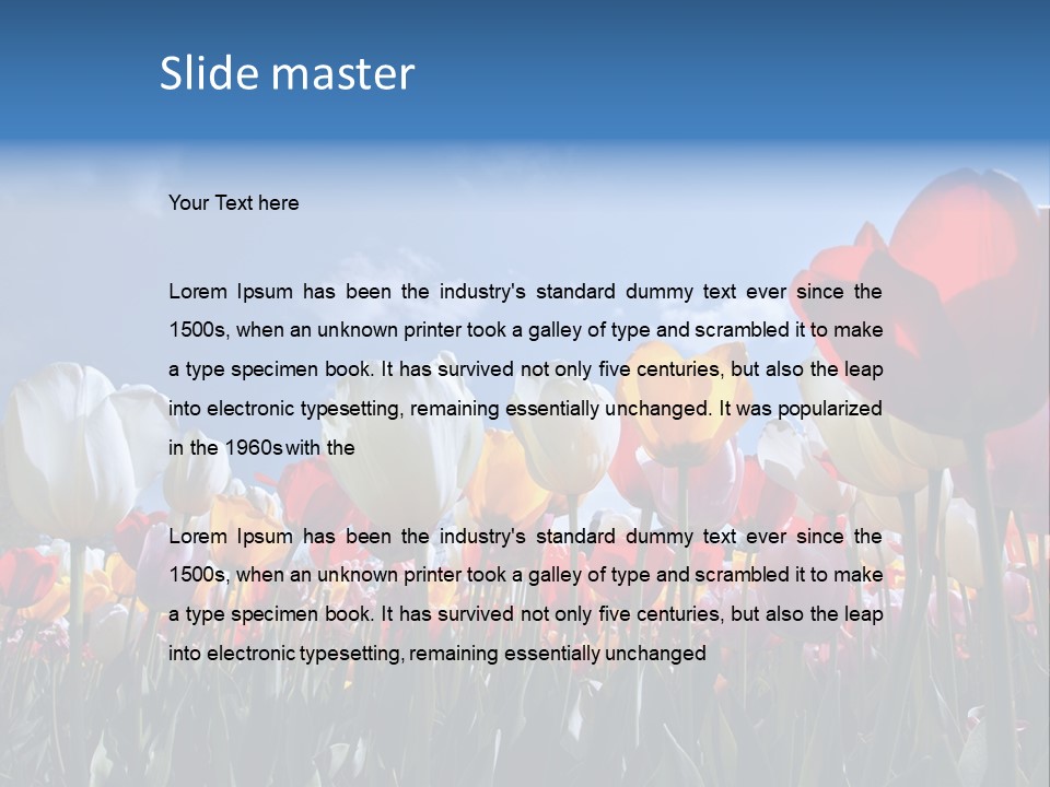 Tulip Yellow Multi Colored PowerPoint Template