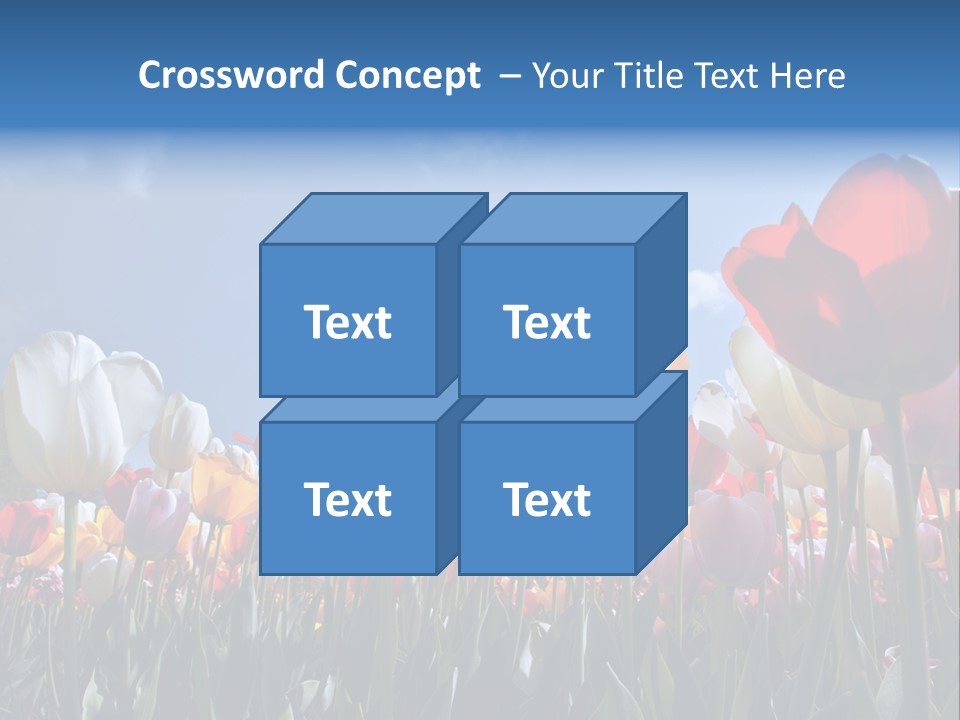 Tulip Yellow Multi Colored PowerPoint Template