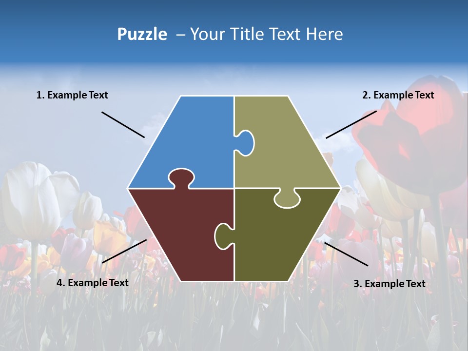 Tulip Yellow Multi Colored PowerPoint Template