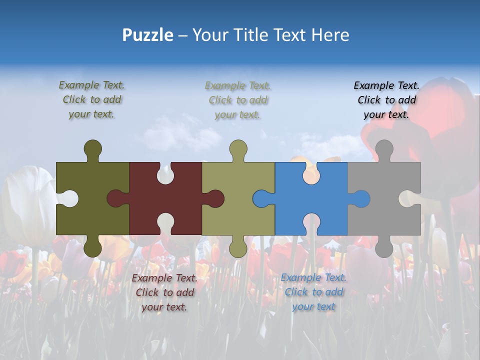 Tulip Yellow Multi Colored PowerPoint Template