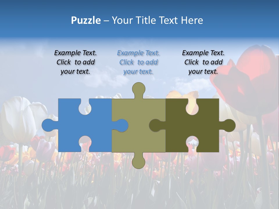 Tulip Yellow Multi Colored PowerPoint Template