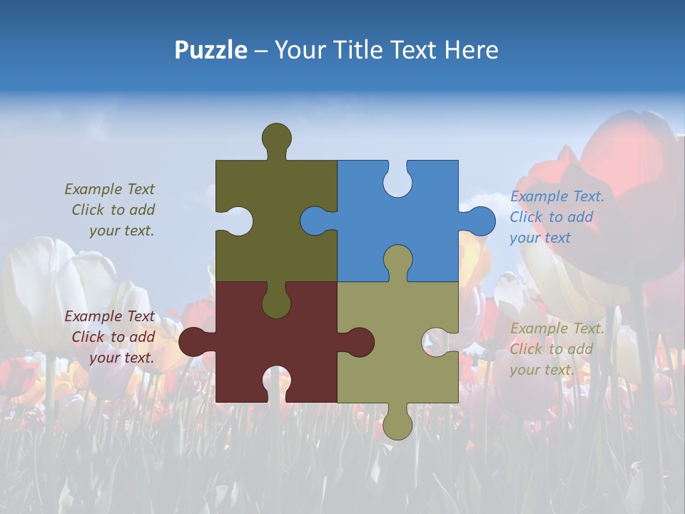 Tulip Yellow Multi Colored PowerPoint Template