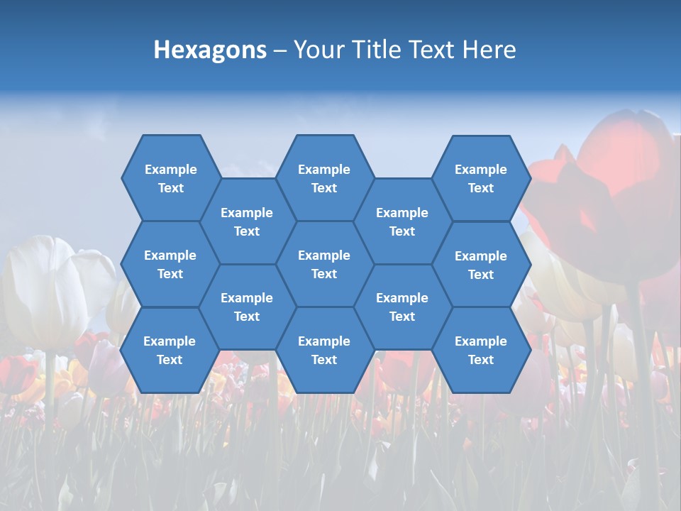 Tulip Yellow Multi Colored PowerPoint Template