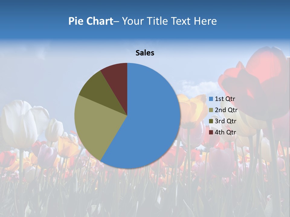 Tulip Yellow Multi Colored PowerPoint Template
