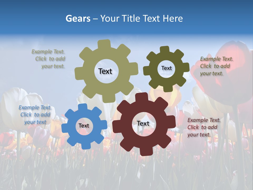 Tulip Yellow Multi Colored PowerPoint Template