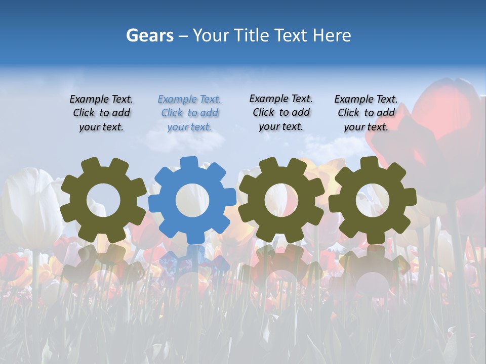 Tulip Yellow Multi Colored PowerPoint Template