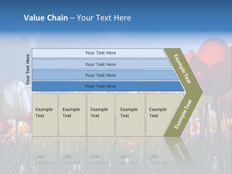 Tulip Yellow Multi Colored PowerPoint Template