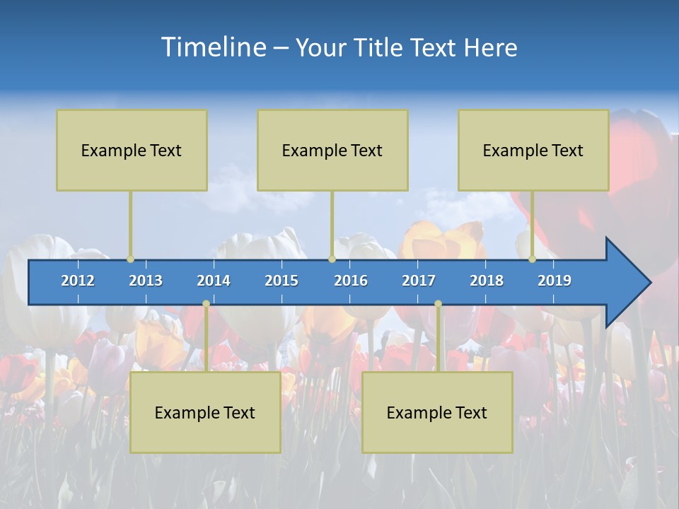 Tulip Yellow Multi Colored PowerPoint Template
