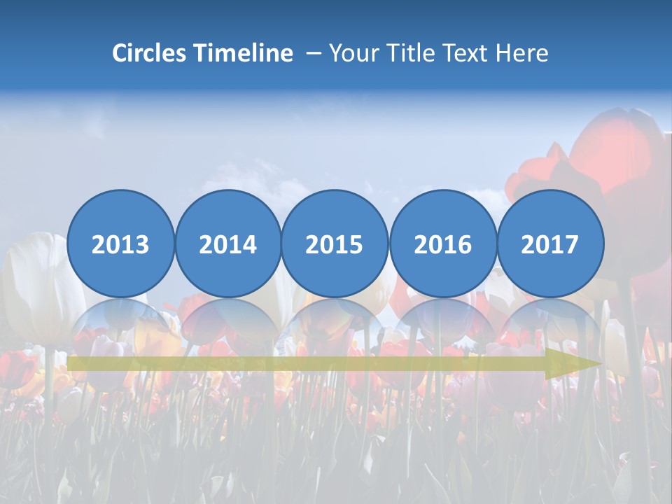 Tulip Yellow Multi Colored PowerPoint Template