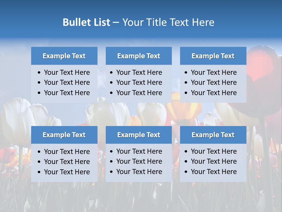 Tulip Yellow Multi Colored PowerPoint Template