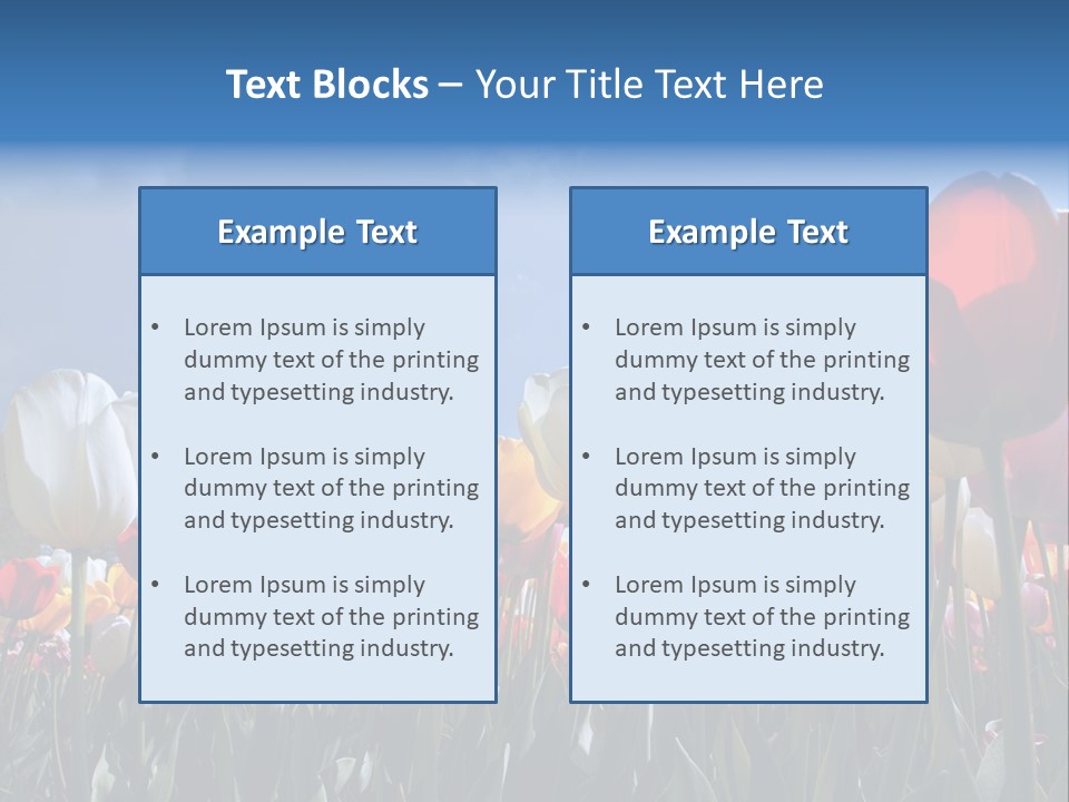 Tulip Yellow Multi Colored PowerPoint Template