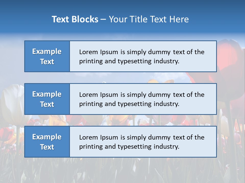Tulip Yellow Multi Colored PowerPoint Template