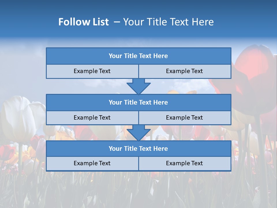Tulip Yellow Multi Colored PowerPoint Template