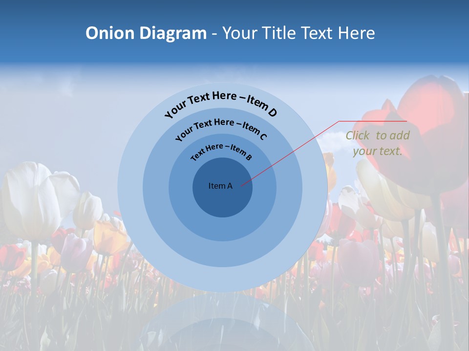 Tulip Yellow Multi Colored PowerPoint Template