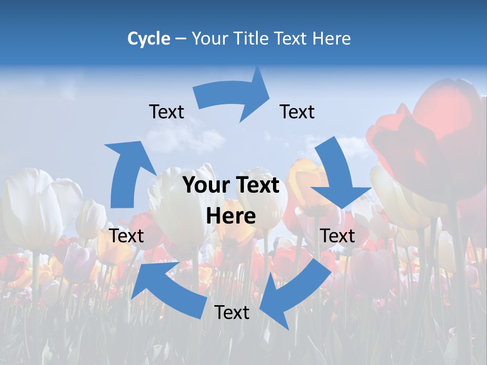 Tulip Yellow Multi Colored PowerPoint Template