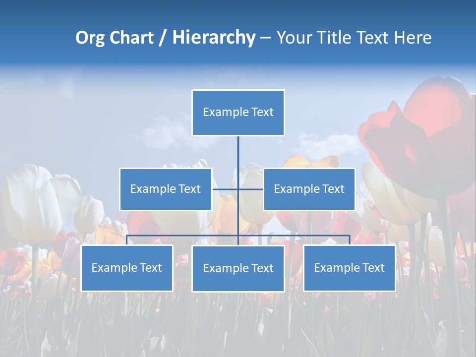 Tulip Yellow Multi Colored PowerPoint Template