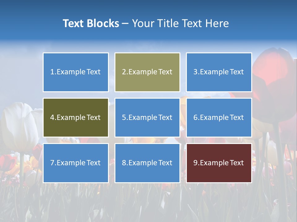 Tulip Yellow Multi Colored PowerPoint Template