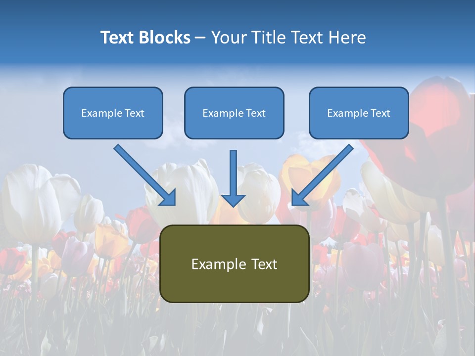 Tulip Yellow Multi Colored PowerPoint Template