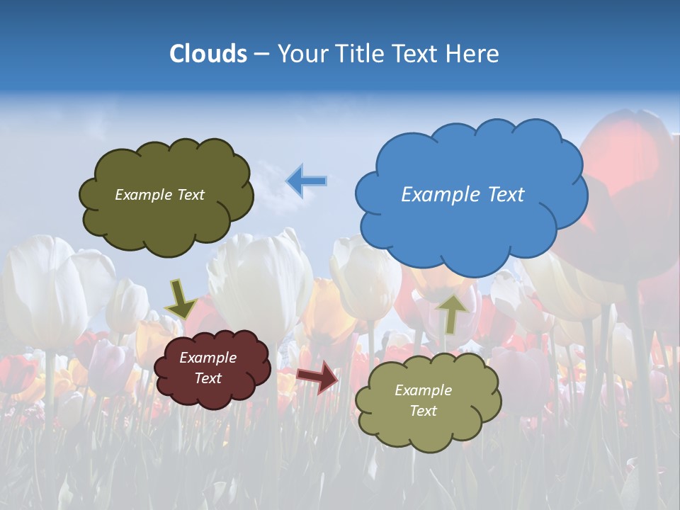 Tulip Yellow Multi Colored PowerPoint Template