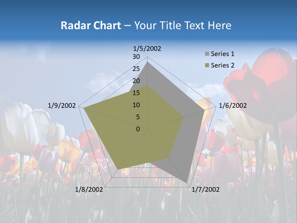 Tulip Yellow Multi Colored PowerPoint Template