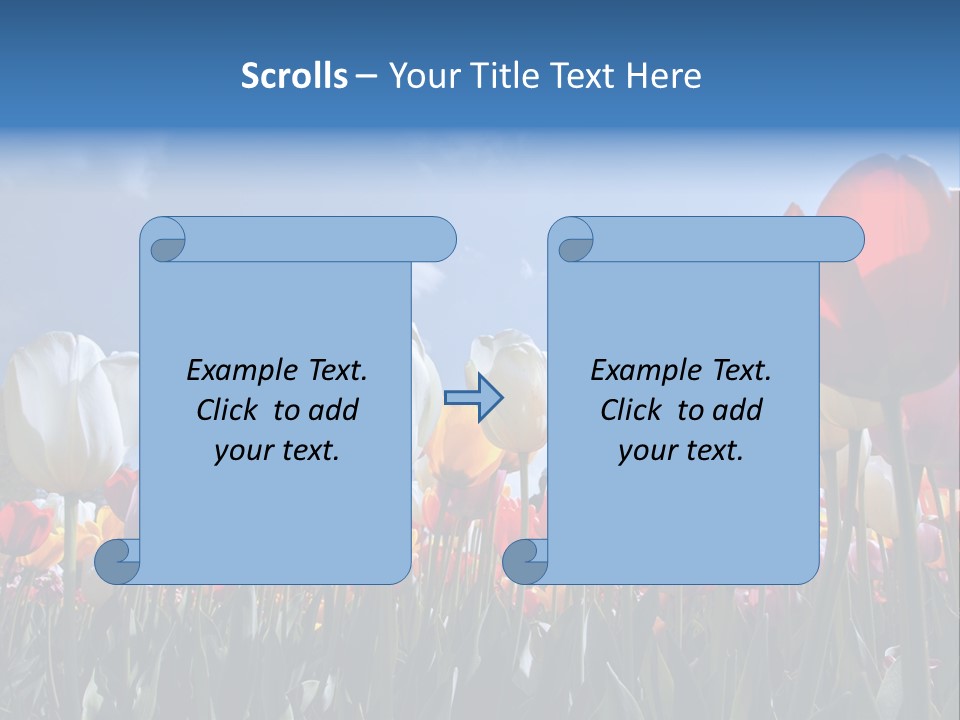 Tulip Yellow Multi Colored PowerPoint Template