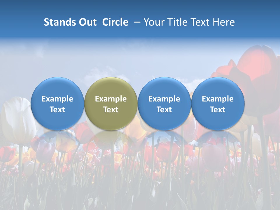 Tulip Yellow Multi Colored PowerPoint Template