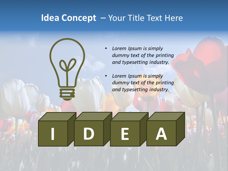 Tulip Yellow Multi Colored PowerPoint Template