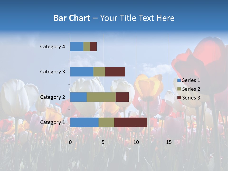 Tulip Yellow Multi Colored PowerPoint Template