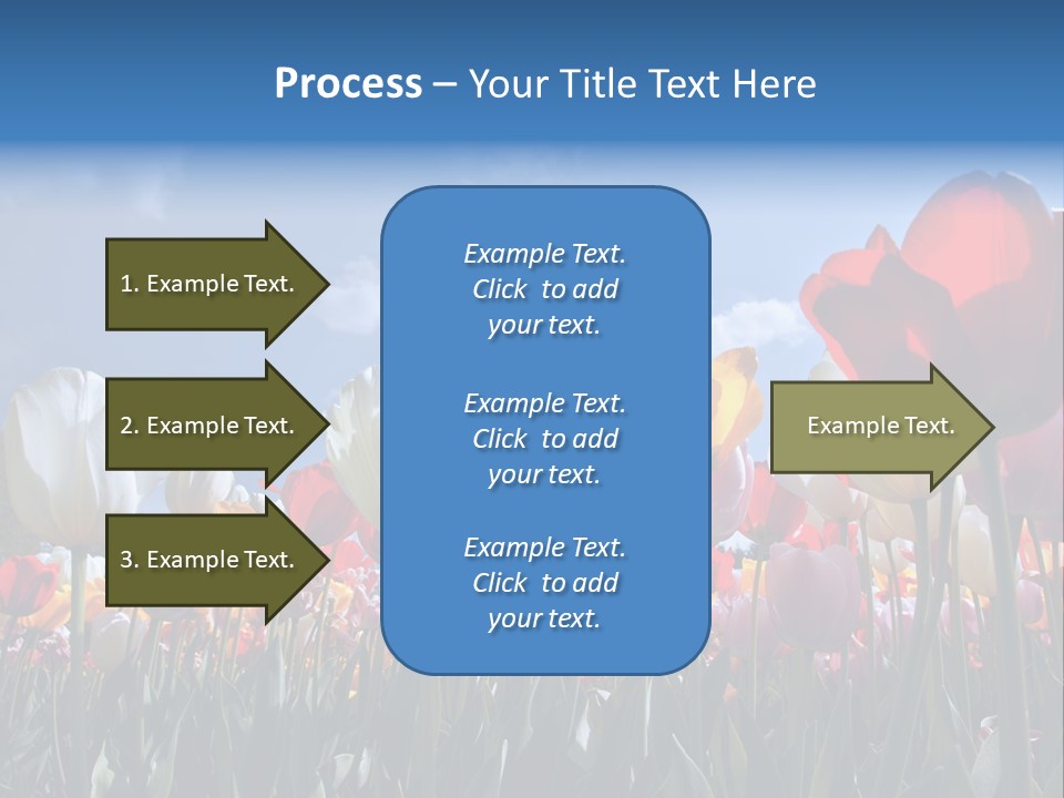 Tulip Yellow Multi Colored PowerPoint Template