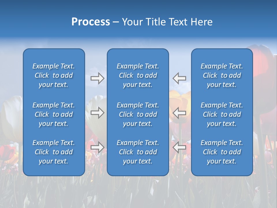 Tulip Yellow Multi Colored PowerPoint Template