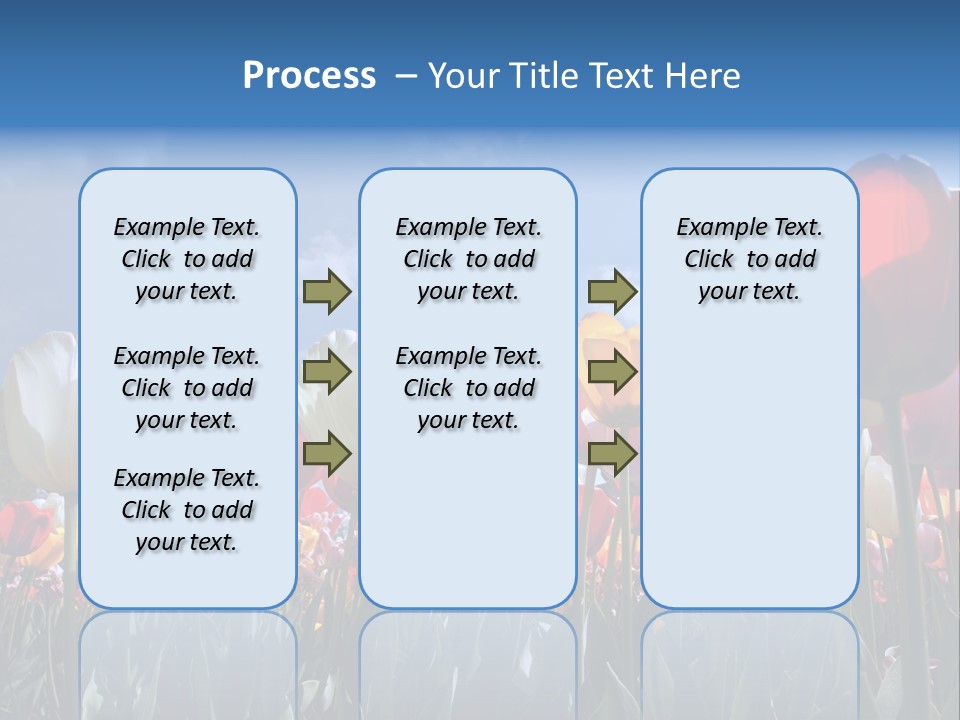 Tulip Yellow Multi Colored PowerPoint Template