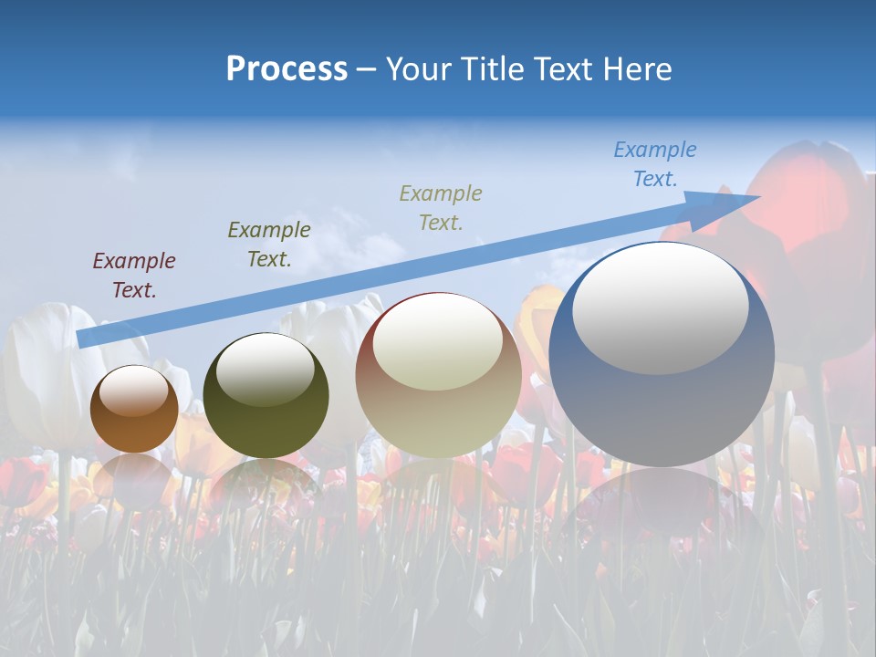 Tulip Yellow Multi Colored PowerPoint Template